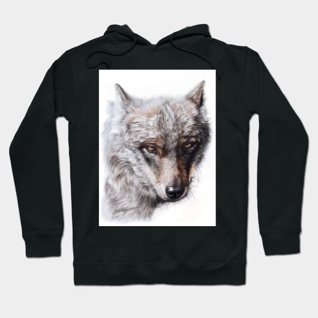 Sierra Spirit Hoodie by Mightyfineart